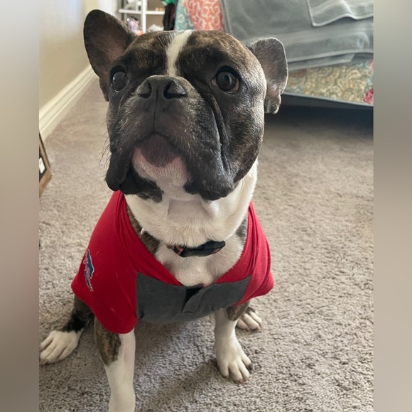 Meet your Posher, Tamara - Picture 5 of 8